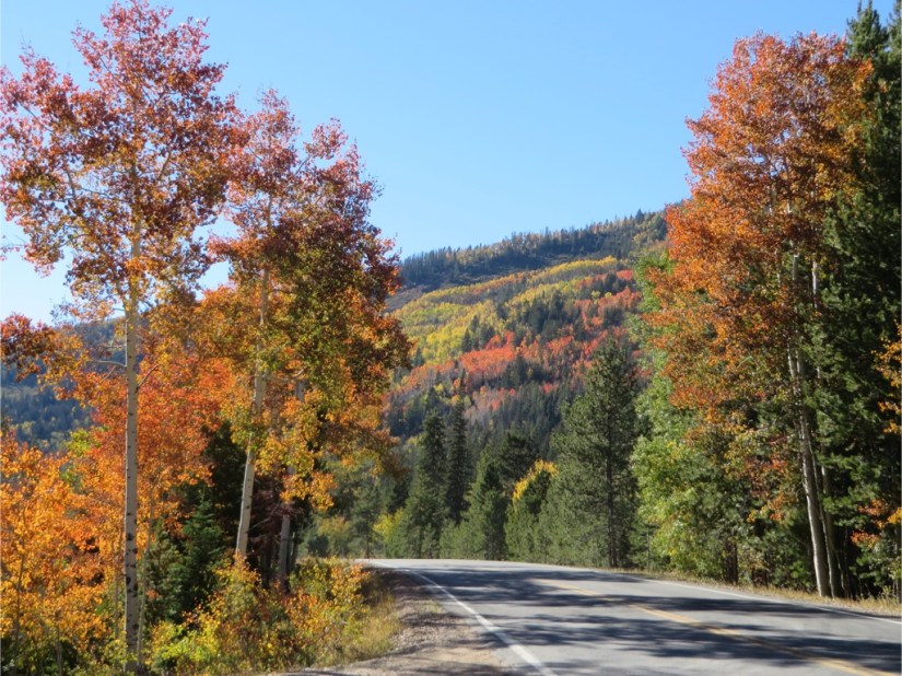 file-AA57312E-2137-4AF5-BC8A-43B106680A11-3203-0000027F05930544