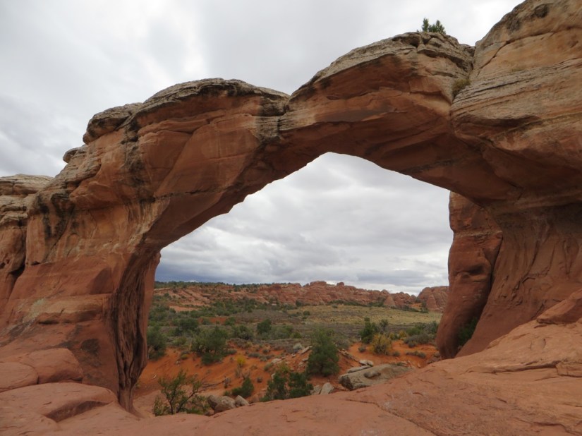 file-B34889C9-6CCD-4321-AA6C-B9B5075F3AE9-3203-0000027EEB3DA37F