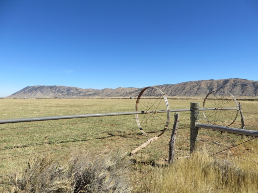 file-DB44233E-68C8-490C-905A-5FC3FB4A3FD1-3203-0000027F0E2EF446