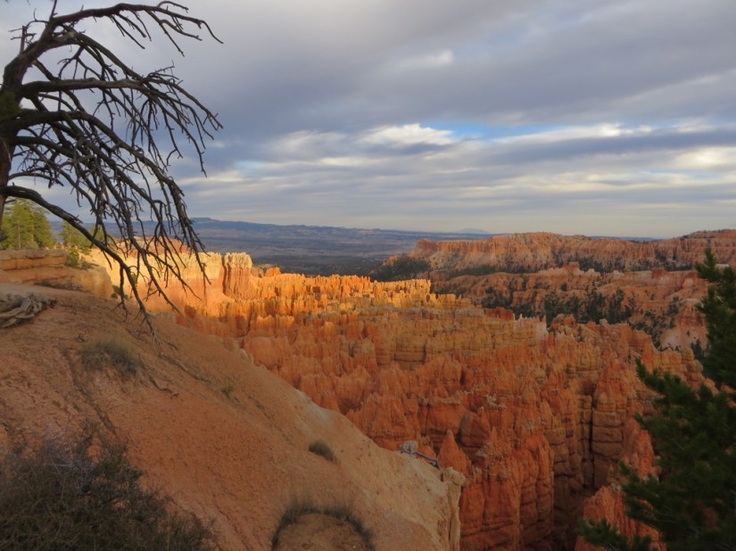 file-1E991C52-7F02-4AF6-9070-5C9FDC2FCB46-3725-0000030A5DC3ED3D