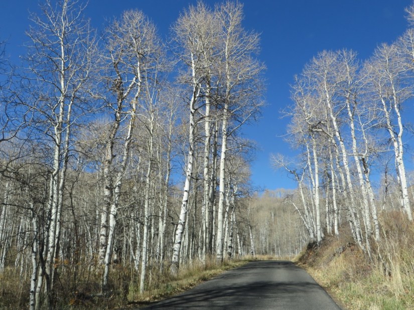 file-4761DBEC-FEF1-440E-9F7C-743C8F2216D9-3203-0000027E67D0BDD4