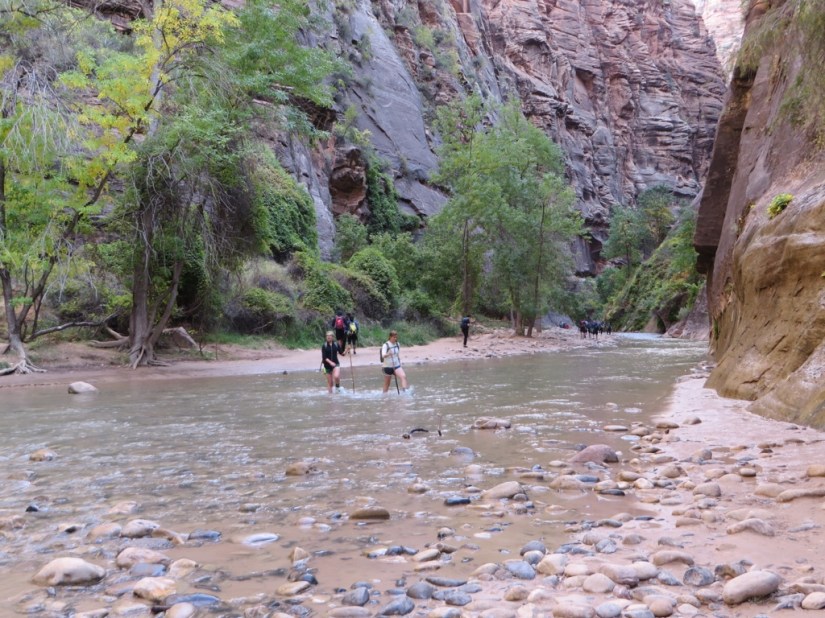 file-4A33DA40-CC6E-479C-9995-BF78CC379660-3203-0000027E8E8D7015