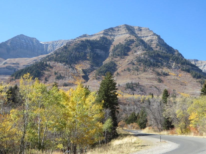 file-4FBE1792-6BDC-40FB-A64A-EF7D2FC8EFCD-3203-0000027E6BAA642D