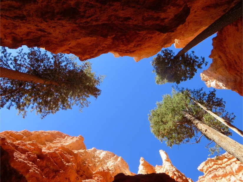 file-69923B2E-20F3-4C79-87D1-6611698CBDFD-3203-0000027E7956D7D0