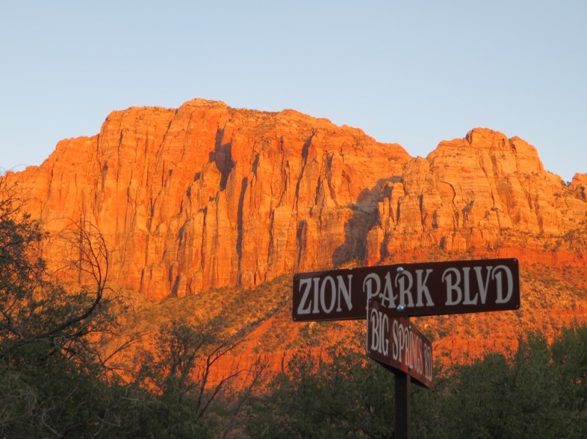 file-758A1539-4FA3-4986-8D5A-C3FCDB3C95C2-3203-0000027E859BE4C6