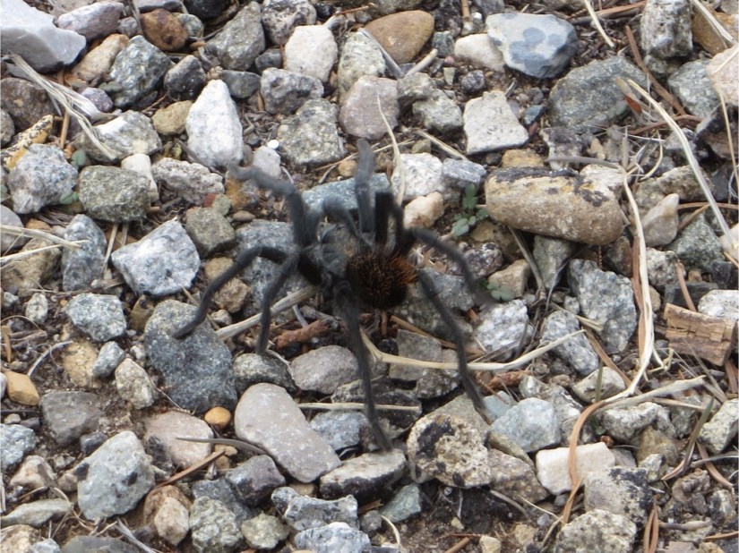 file-9D427074-5823-4E53-876D-70B2D802AEB4-3203-0000027EC6FBAADC