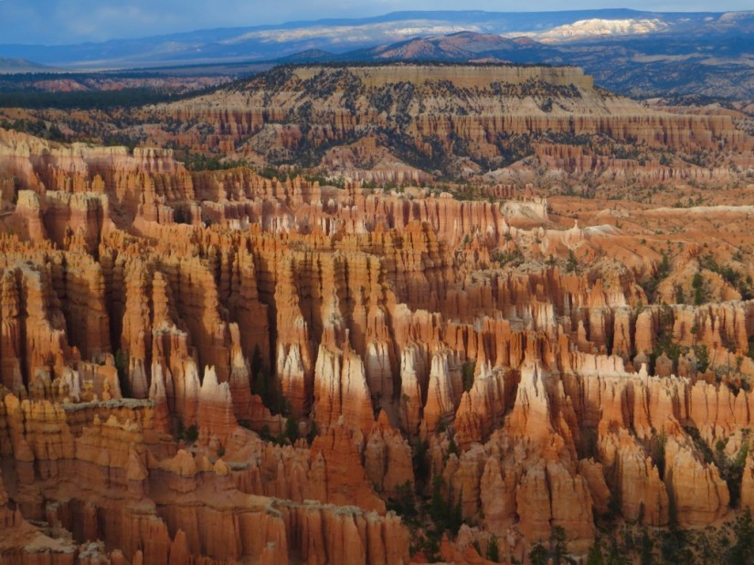 file-A8DD175D-09D6-4FE0-910E-E6C687BF15F9-3725-0000030A5E482195