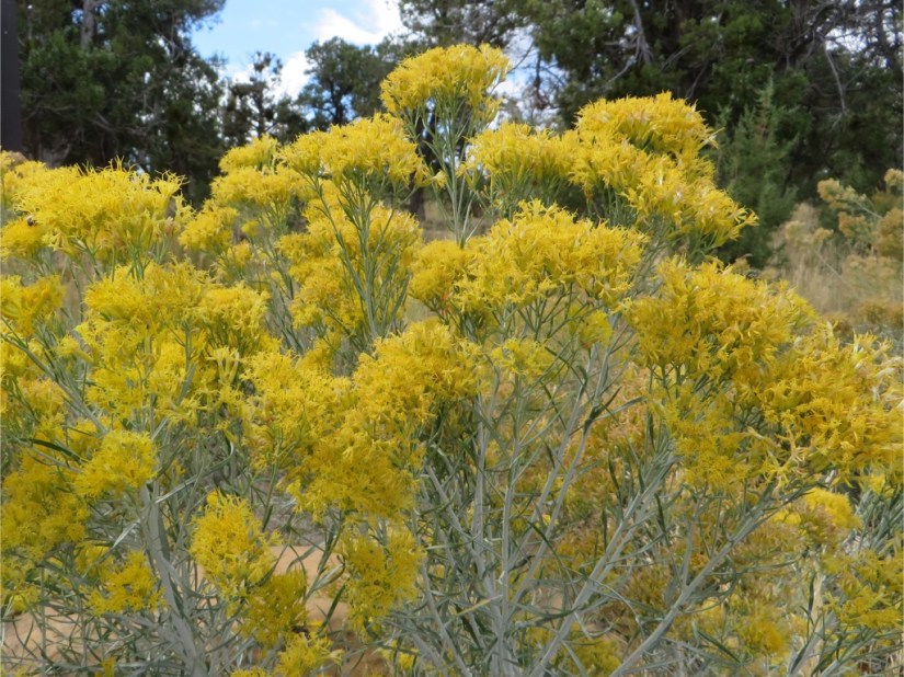 file-EF6BF7DB-038E-431B-9FA2-B1157E39F790-3203-0000027ED0F3DD18