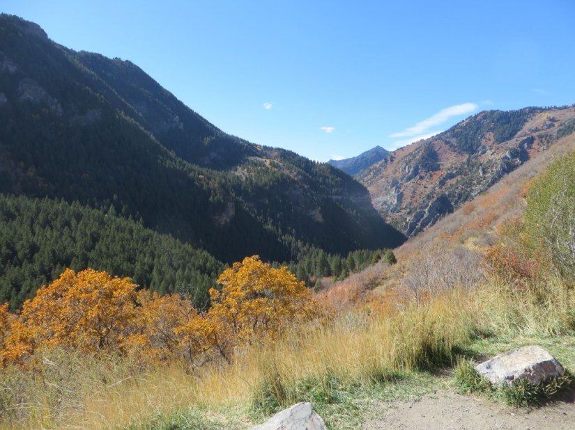 file-F6DA92AC-1546-452B-837F-924FDBCA5C16-3203-0000027E6A4A9BA8