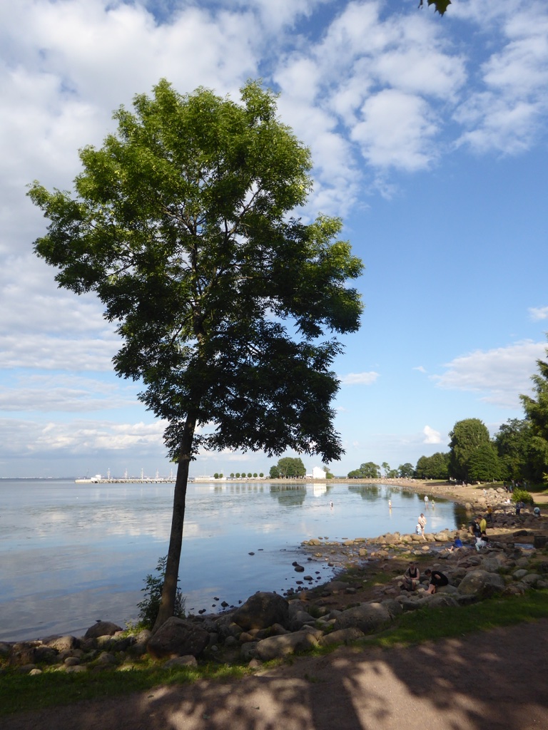 file-DBAE7357-FF65-4D5D-84ED-3C1844AF0FB8-684-00000063D64AB3F3