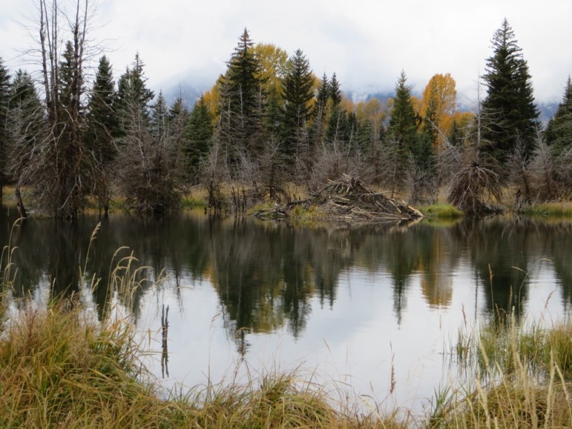 file-25F34406-F8F4-4579-93C7-89E3CA91A46E-3203-0000027F24F75998