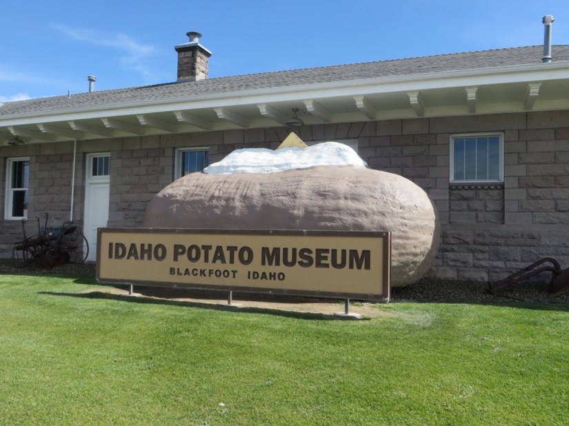 file-3301FF8E-0B61-4DF0-80CA-E56833B8BB7A-3203-0000027F72016881