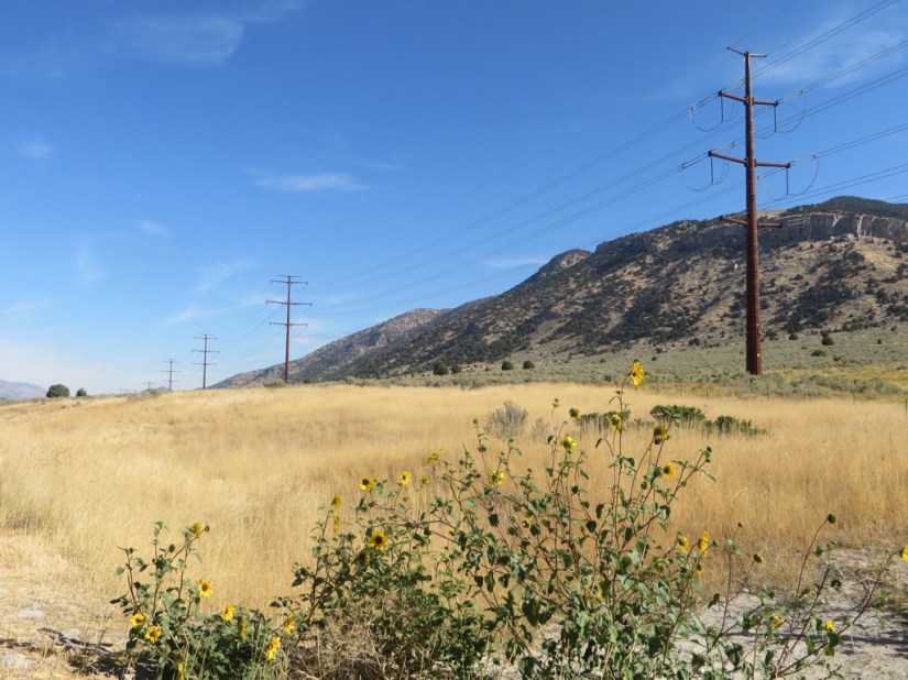 file-8310C925-FDDF-49E6-9F56-80E76DB45BF2-3203-0000027F76ABAA40