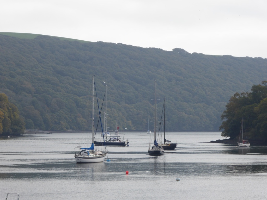 E384E73B-E788-443C-87F7-0AD29EBD535D