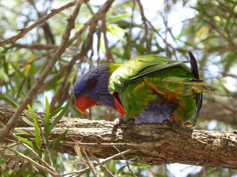 1CE4DBEE-EB28-4F3F-8280-E4F39672145A