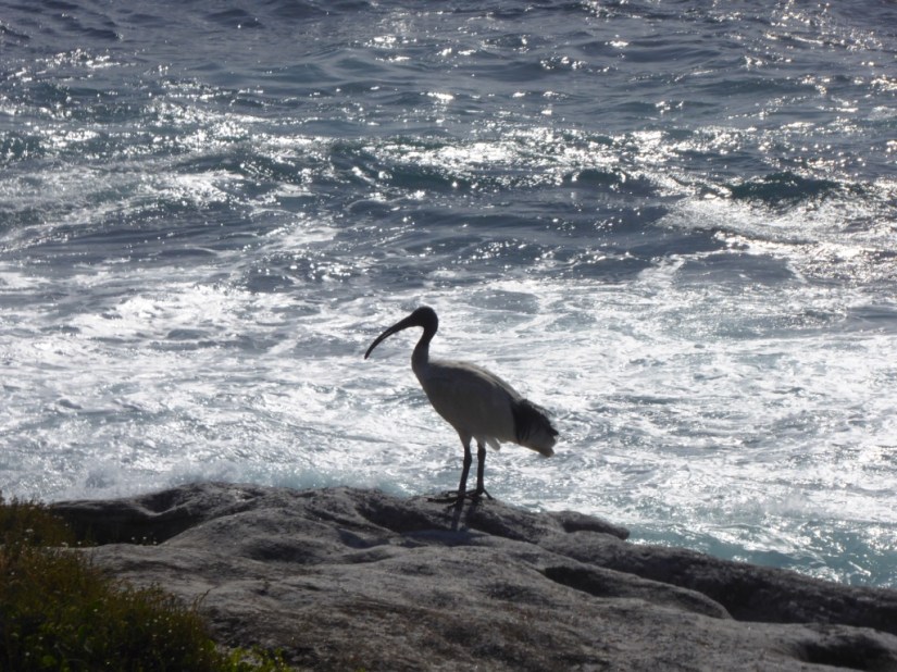 4A7E17DC-23A9-477A-899E-B6EF133CE4A8