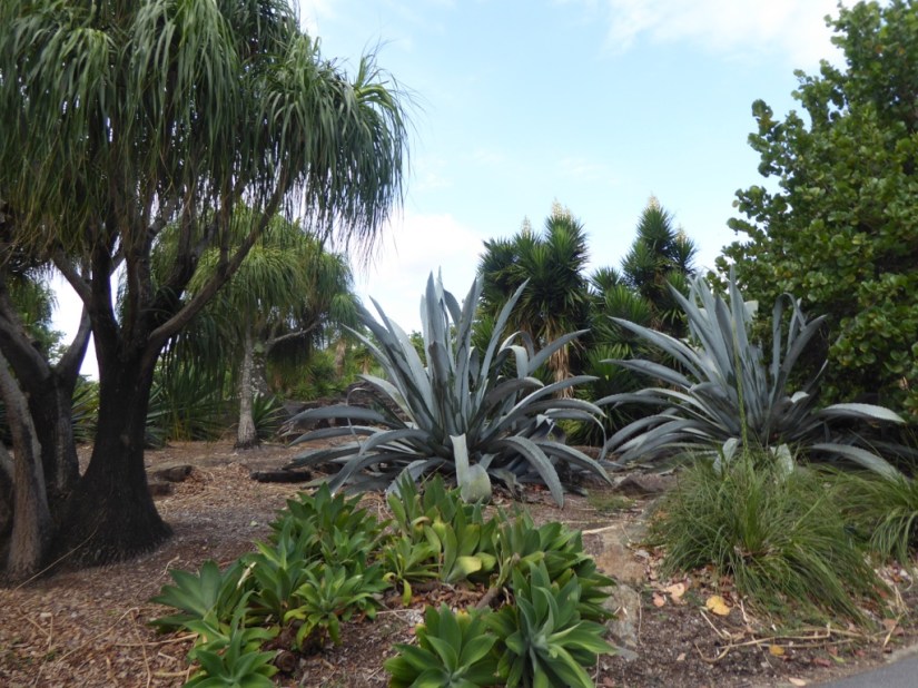 4AB4F373-AA2E-4CD4-8F31-61487E980FBB