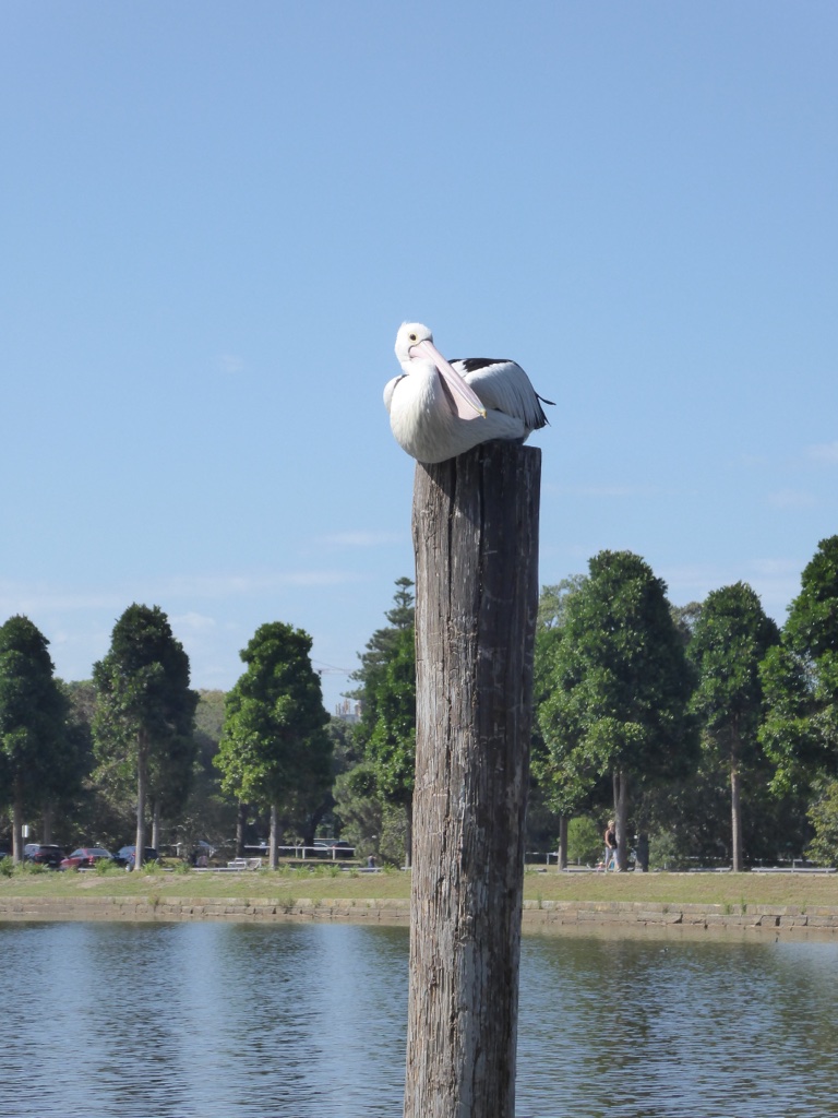 500DF1CC-FF71-4E7A-8609-C72D49FB12C6