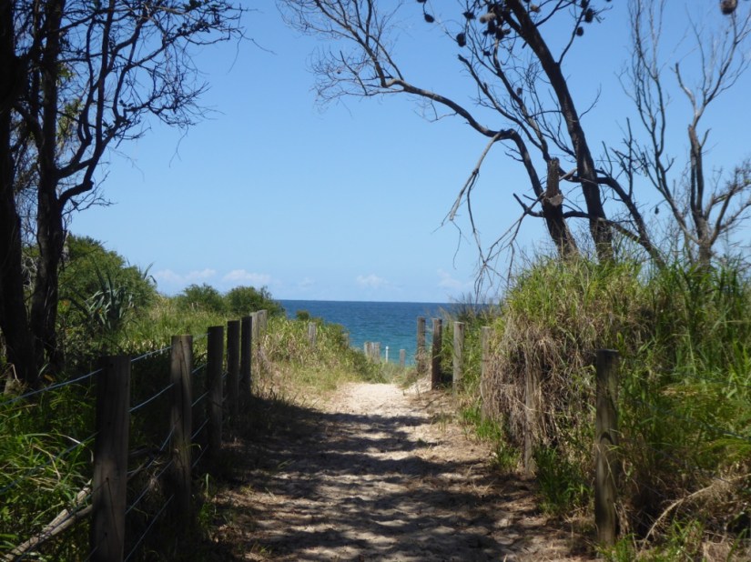 B71D8D9A-26FD-4484-A27E-A4648B215C22