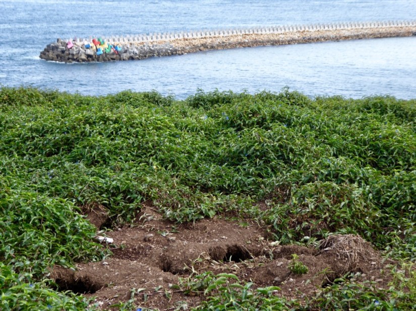 F3BAA653-21E2-48CA-ABD8-831E88D085BC