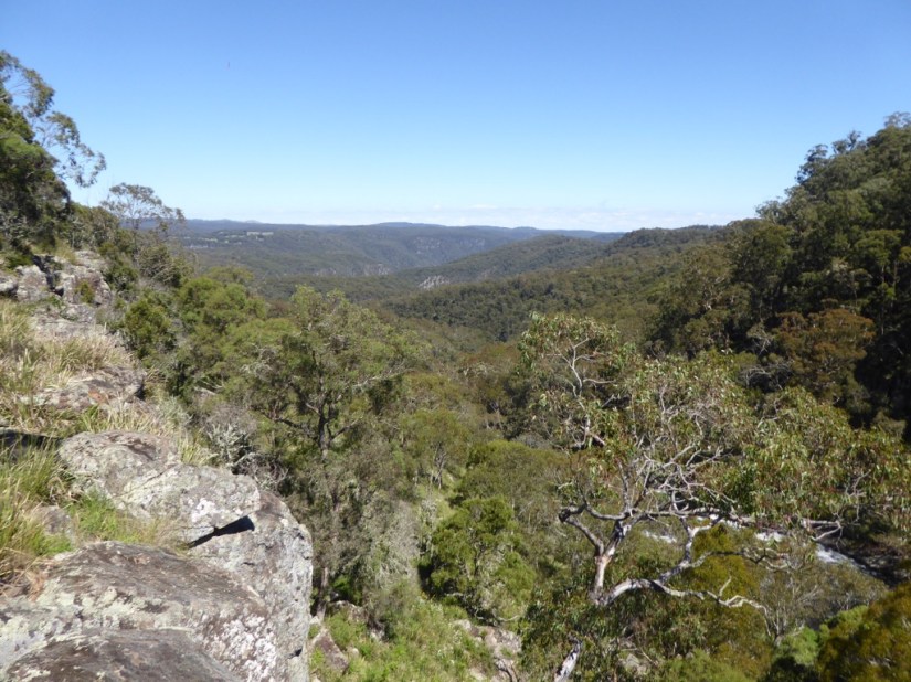 0E7BC796-E985-4C11-B963-DA3AF430D68A