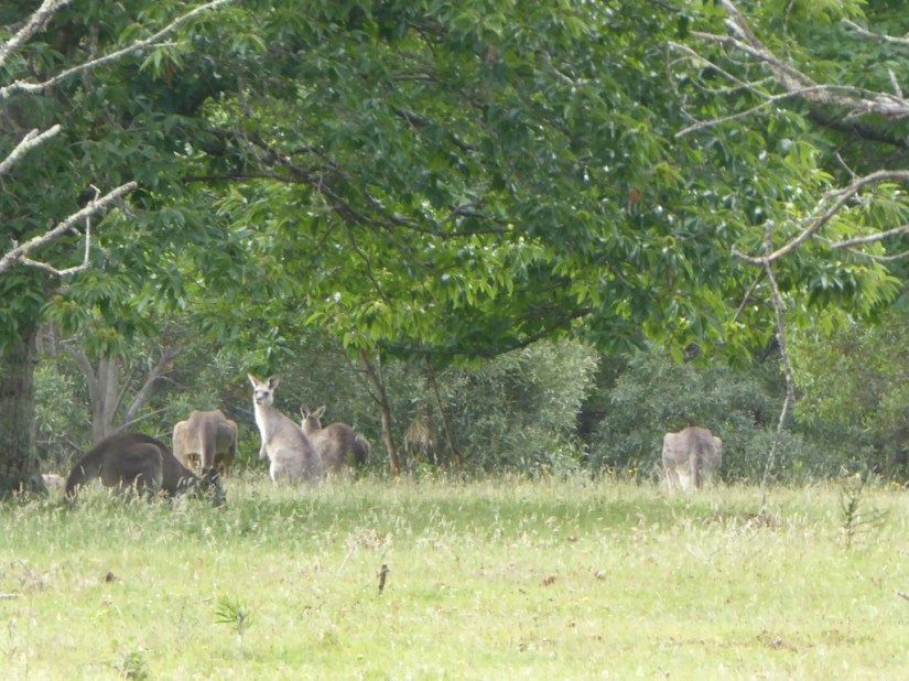 1220A41B-CF44-4B8A-99BC-C9A5CFFE46F4