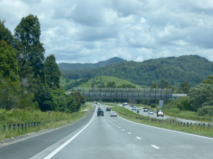 17C38E9D-0A4B-477A-B250-B733496BD653