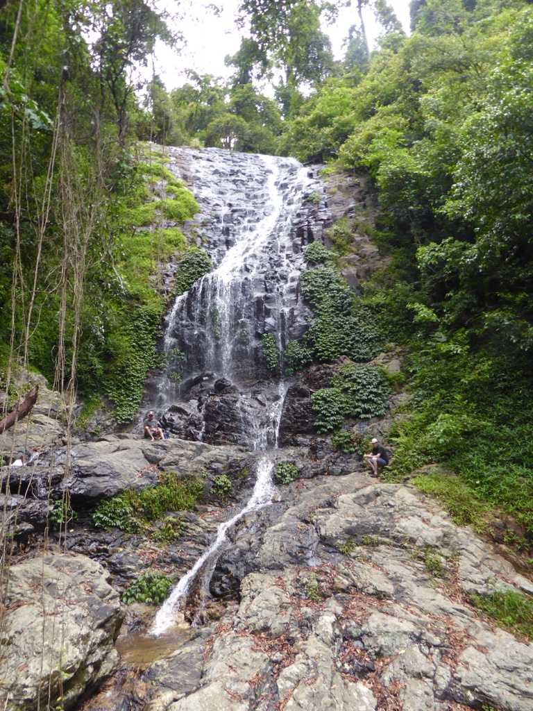 19B27025-7A83-486C-8943-94A81176AA04