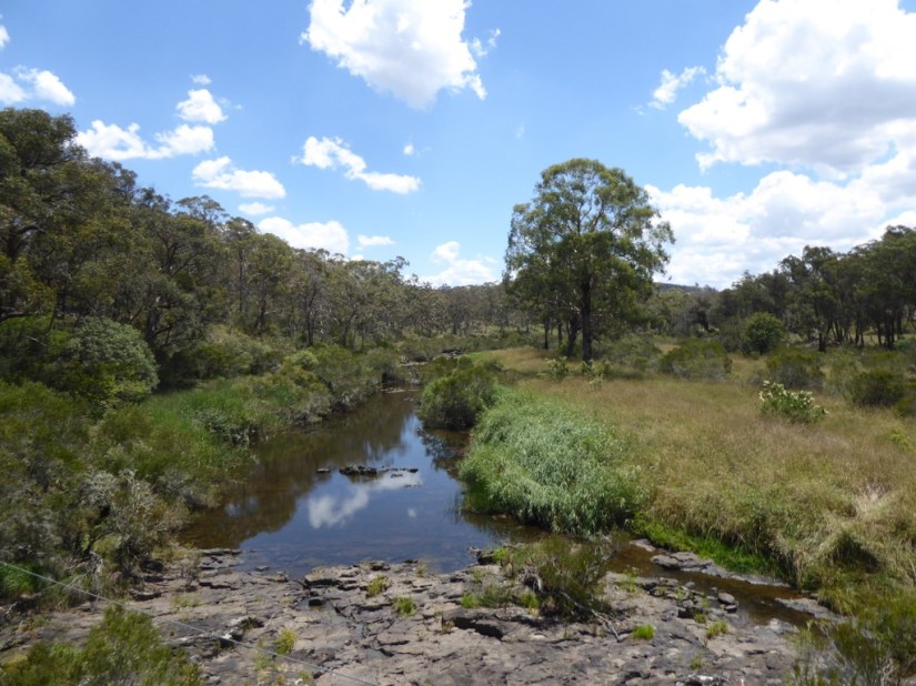 2E755533-A474-4241-B1FD-688C70DF0132