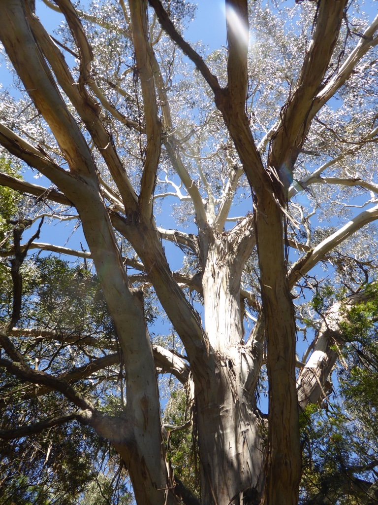 3664E9C2-2EA0-43B8-8EFD-0B2F6F6376DD