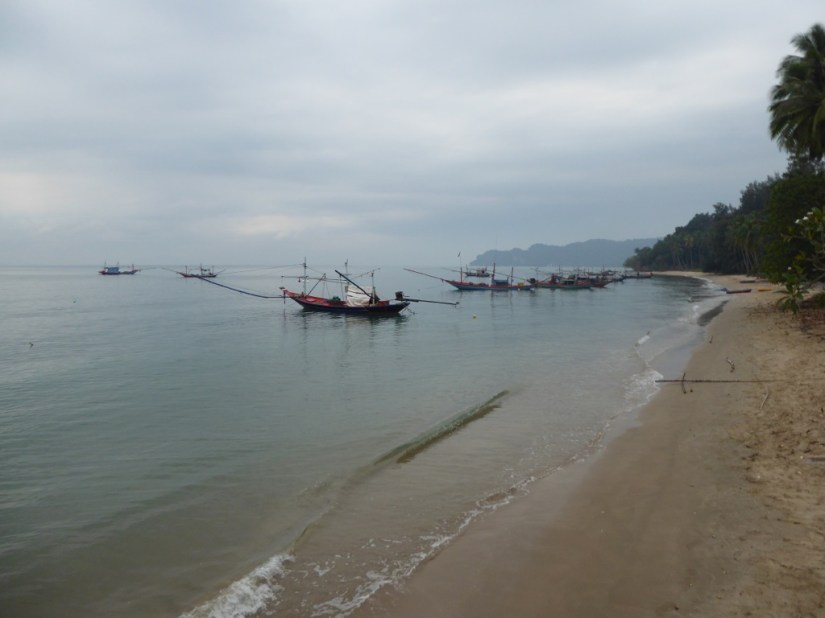 3DA5EDA1-3416-404E-9B61-DA79D07F1536