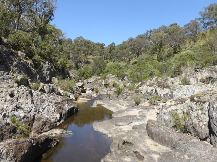 41B236EB-77A9-4F42-8590-6645F32E5CEE