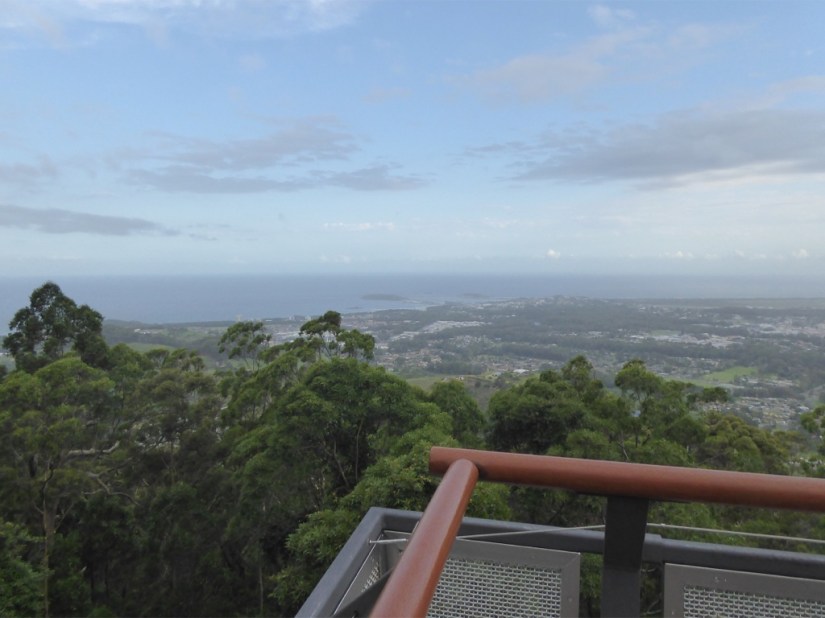 4DA33833-31EA-47F5-855B-086DC3EC1451