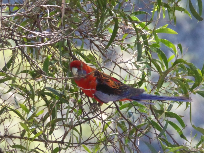 5064AEA4-B0B9-419A-886A-A1B0DF423F8A