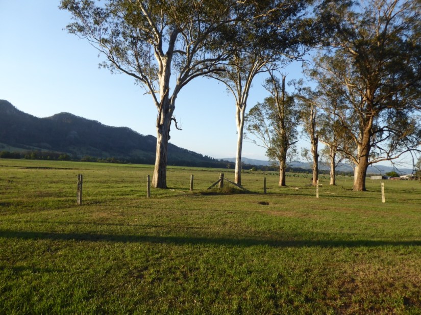 6A36D617-2D7A-4195-8048-75F5320D955B