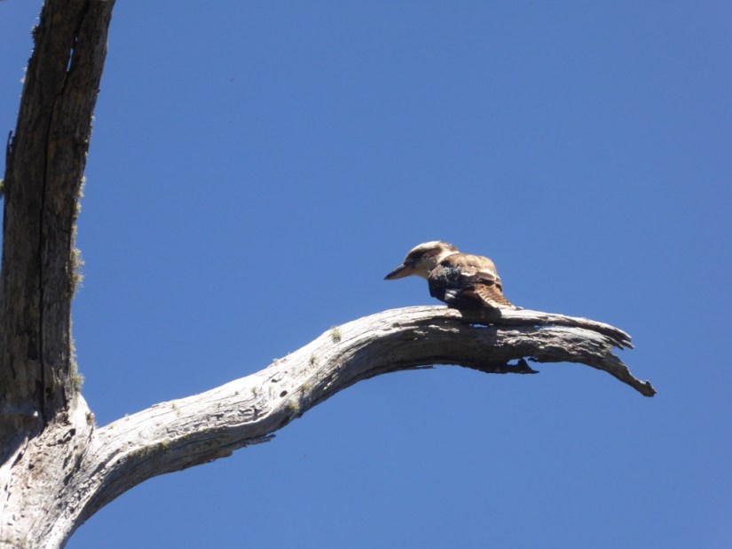 715C8C9B-4D3D-4FAB-A5C6-5B6C0A2014A6