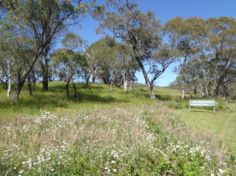 834C56DE-1015-4266-AA5B-F68D057DE310