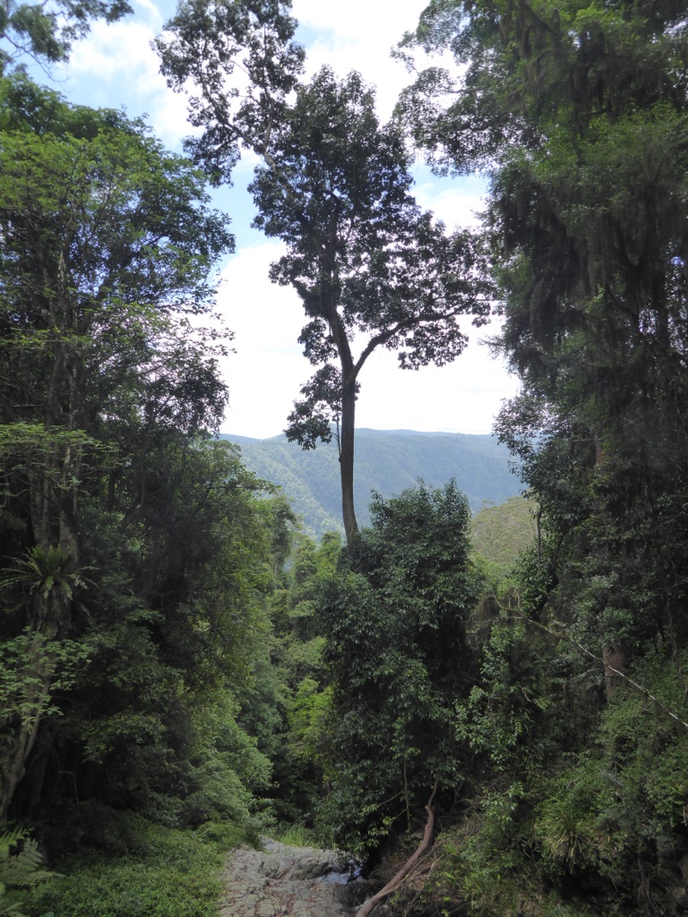 8B02CE13-E6ED-4557-A9C9-AFAA420669C8