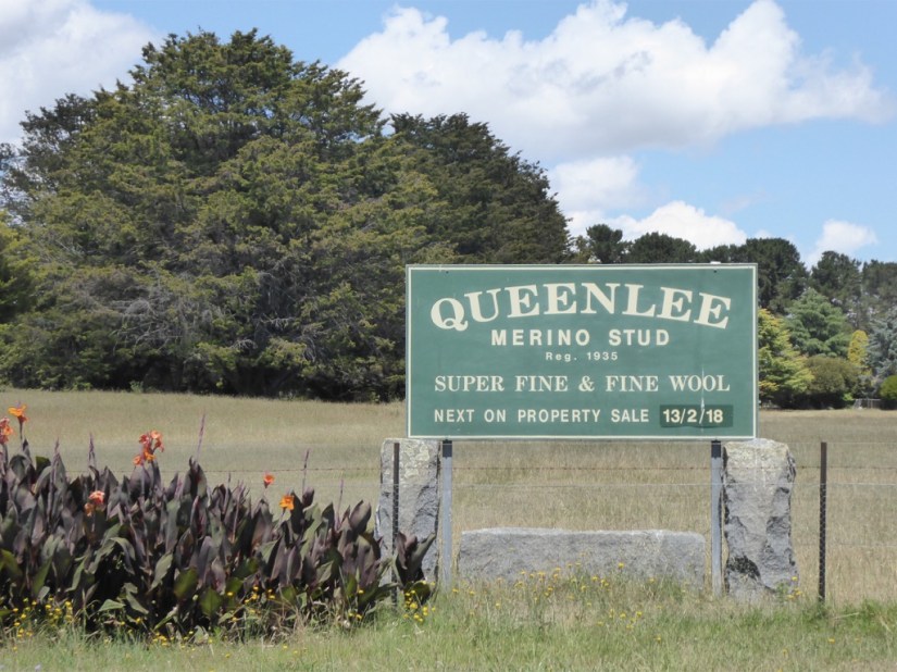 A0487295-177D-4289-9022-BB23430C993E