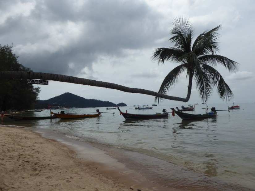 AF68E40F-D347-4F0C-BAEE-EDBF5B9E31A9