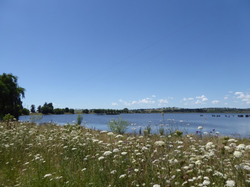 B27D1330-ED04-4C74-A0E2-A500465758CC