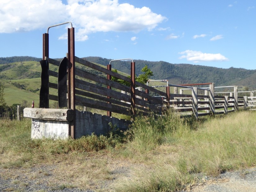 C2F61959-888A-4B6B-B0AC-C5EA490285E1