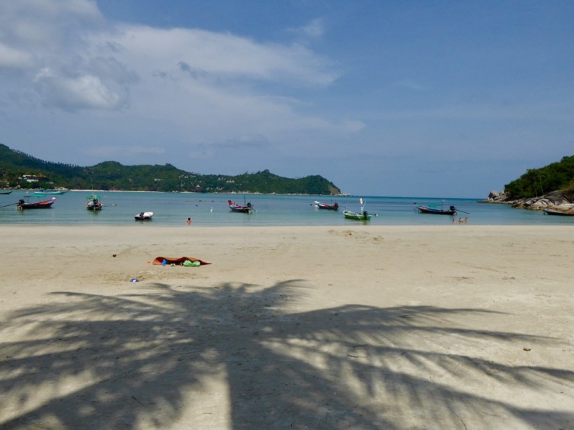 D12C3A6A-E935-4C8A-A096-24E8A76C7922