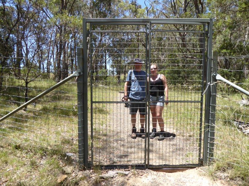 D5F5A534-2953-4BD4-91E8-F5F81153E4CA