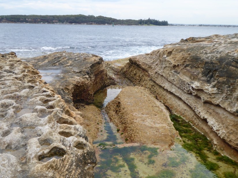 D77A19B3-98CB-490E-B2D8-8C6A0A0C3AA9