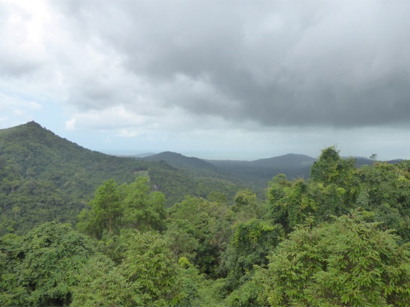 2300BC3D-B21F-4E6B-B393-3D3559157C72