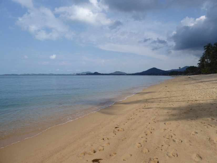 5883D858-E588-4C0D-8F0D-EBA40AD32B72