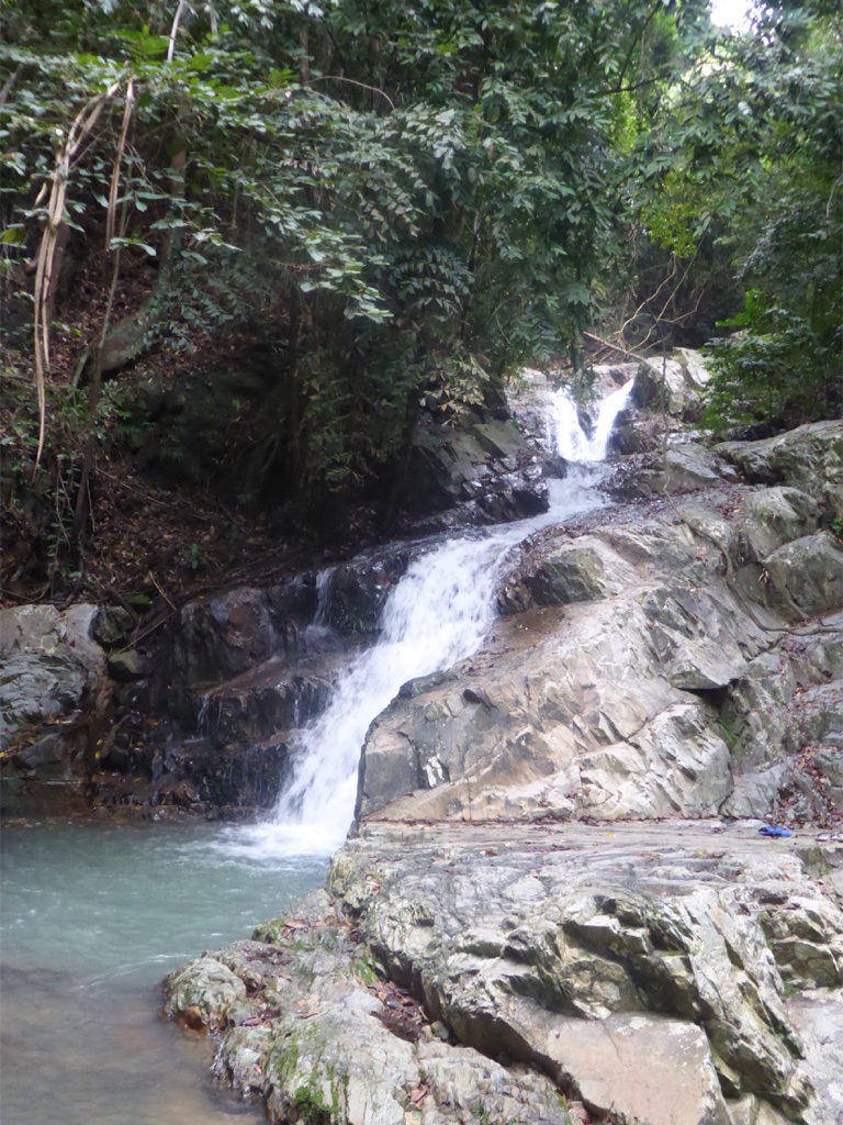 77DEFA73-1083-4A0D-9366-7EA3947AF61A