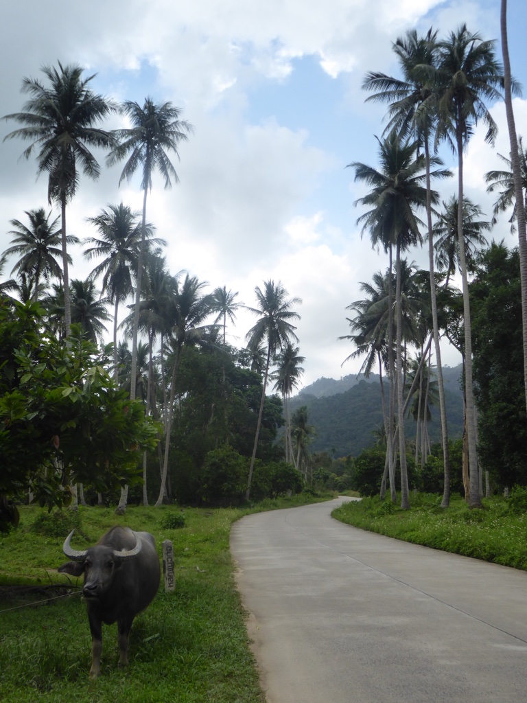 A3A35B08-706B-41FD-A33D-ACD399F04337