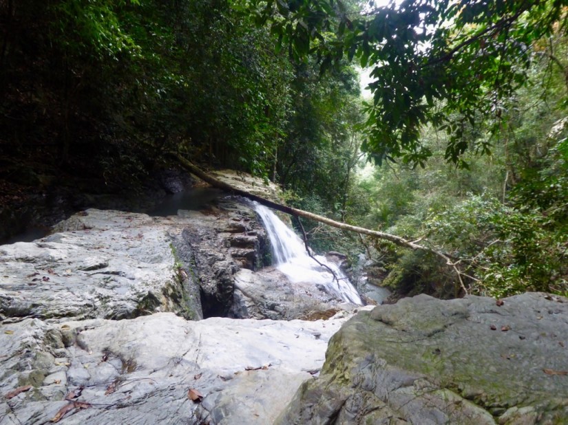 BB9E7F6F-34AF-4C11-8796-E2FD94F162A9